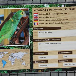 Rothschild's amazon sign