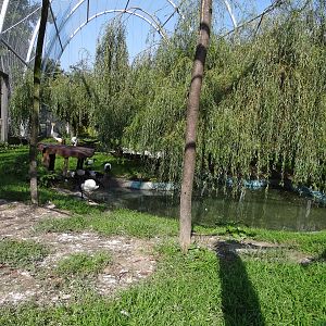 Aviary for cranes and ibises