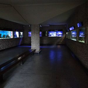 Inside aquarium