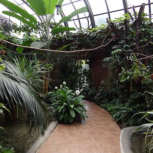 Inside free-flight aviary