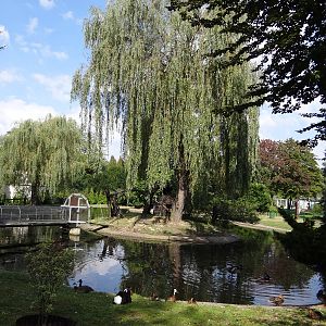 Pond and lemur island