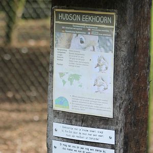 Sign American red squirrel