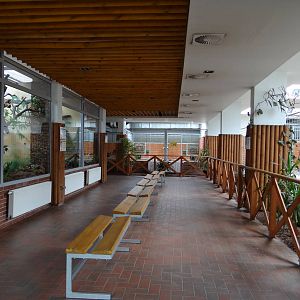 Inside antelope house