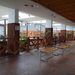 Inside antelope house