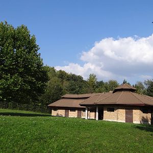 Another antelope house