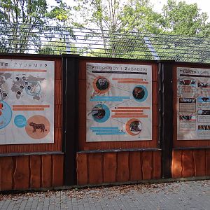 Information board about tigers