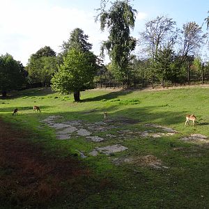 Waterbuck enclosure