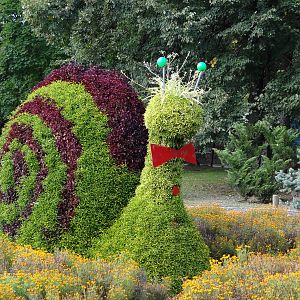 Snail (unknown species)