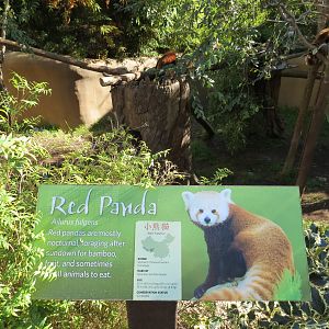 Panda Canyon - Panda Trek - Red Panda Exhibit