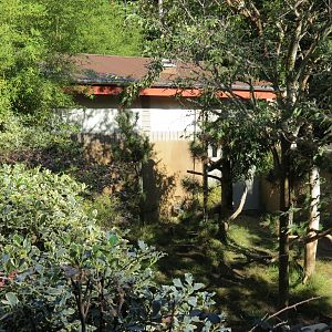 Panda Canyon - Panda Trek - Red Panda Exhibit