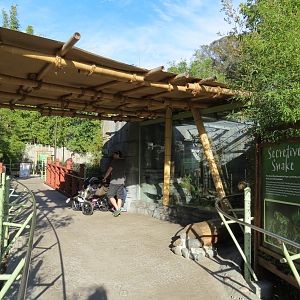 Panda Canyon - Panda Trek - Mang Mountain Viper Exhibit