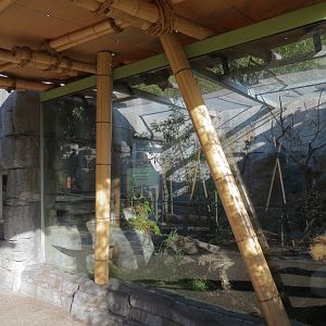 Panda Canyon - Panda Trek - Mang Mountain Viper Exhibit