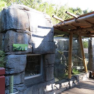 Panda Canyon - Panda Trek - Mang Mountain Viper Exhibit