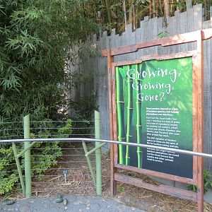 Panda Canyon - Panda Trek - Bamboo Signage