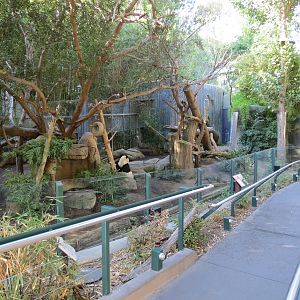 Panda Canyon - Panda Trek - Giant Panda Exhibit 1