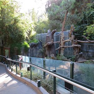 Panda Canyon - Panda Trek - Giant Panda Exhibit 2