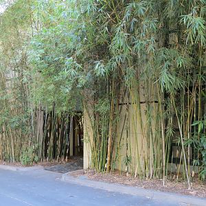 Panda Canyon - Panda Trek - Offices of Giant Panda Conservation