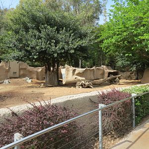 Panda Canyon - Visayan Warty Pig Exhibit