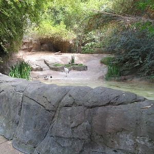 Panda Canyon - Red-crowned Crane and Mandarin Duck Exhibit