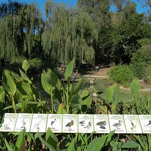 Panda Canyon - Waterfowl Lagoon 2