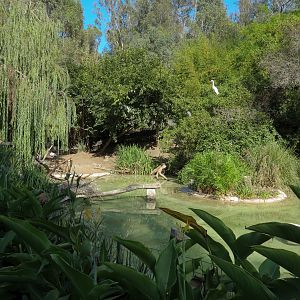 Panda Canyon - Waterfowl Lagoon 2