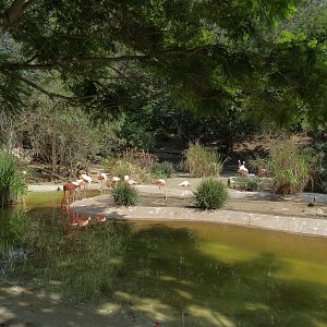 Panda Canyon - Waterfowl Lagoon 1