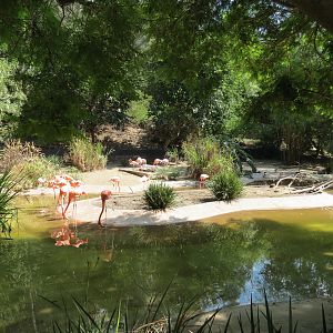 Panda Canyon - Waterfowl Lagoon 1