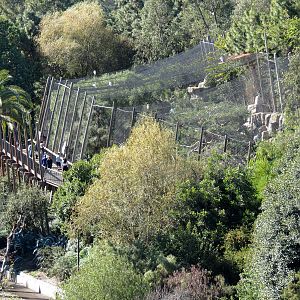 Panda Canyon - Birds of Prey Exhibits