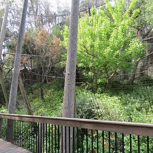 Panda Canyon - Birds of Prey - Stellars Sea Eagle Exhibit