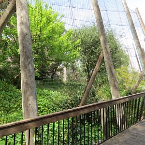 Panda Canyon - Birds of Prey - Stellars Sea Eagle Exhibit