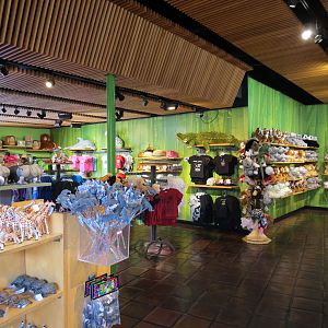 Entrance Area - Kid Store