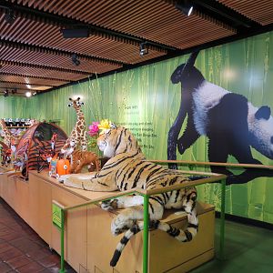 Entrance Area - Kid Store