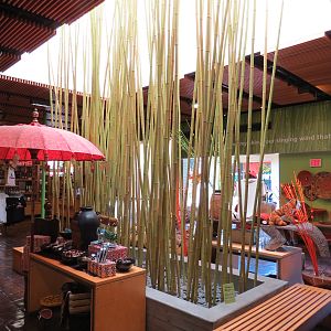 Entrance Area - Zoo Store