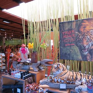 Entrance Area - Zoo Store