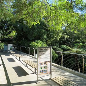 Entrance Area - Bus Tour Queue