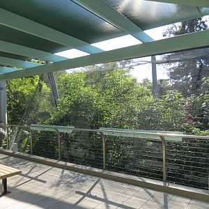 Entrance Area - Bus Tour Queue Aviary