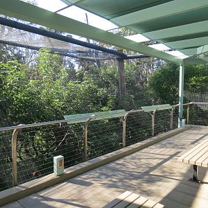 Entrance Area - Bus Tour Queue Aviary