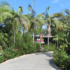 Entrance Area - Path