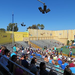 Pets Stadium - Pets Rule! Show