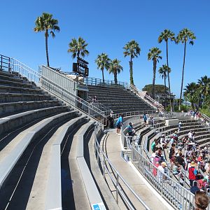 Sea Lion and Otter Stadium - Sea Lions Live Show