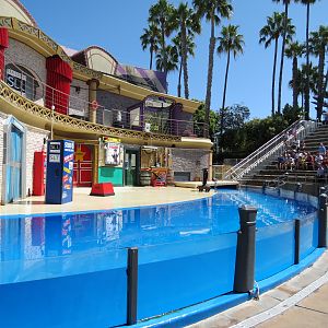 Sea Lion and Otter Stadium - Sea Lions Live Show