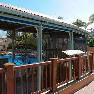 Dolphin Stadium - Blue Horizons Show - Macaw Holding Cages