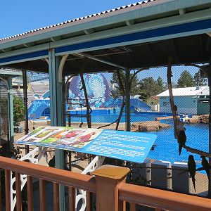 Dolphin Stadium - Blue Horizons Show - Macaw Holding Cages