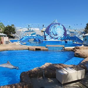 Dolphin Stadium - Blue Horizons Show - Bottlenose Dolphin Holding Tanks