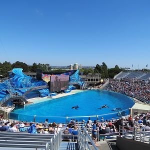 Shamu Stadium - One Ocean Show