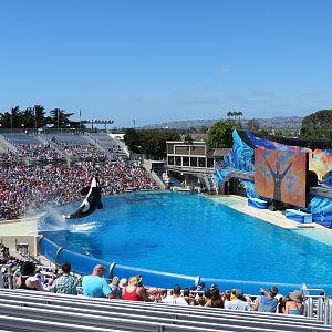 Shamu Stadium - One Ocean Show
