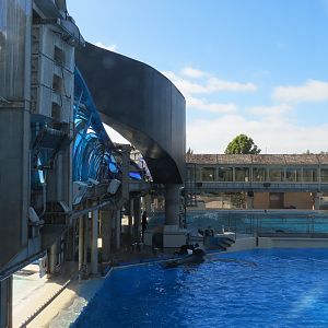 Shamu Stadium - One Ocean Show - Holding Tanks