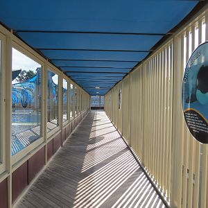 Shamu Stadium - One Ocean Show - Holding Tank Viewing Walkway