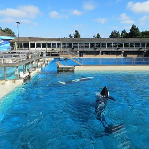 Shamu Stadium - One Ocean Show - Holding Tanks