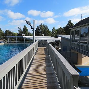 Shamu Stadium - One Ocean Show - Dine With Shamu